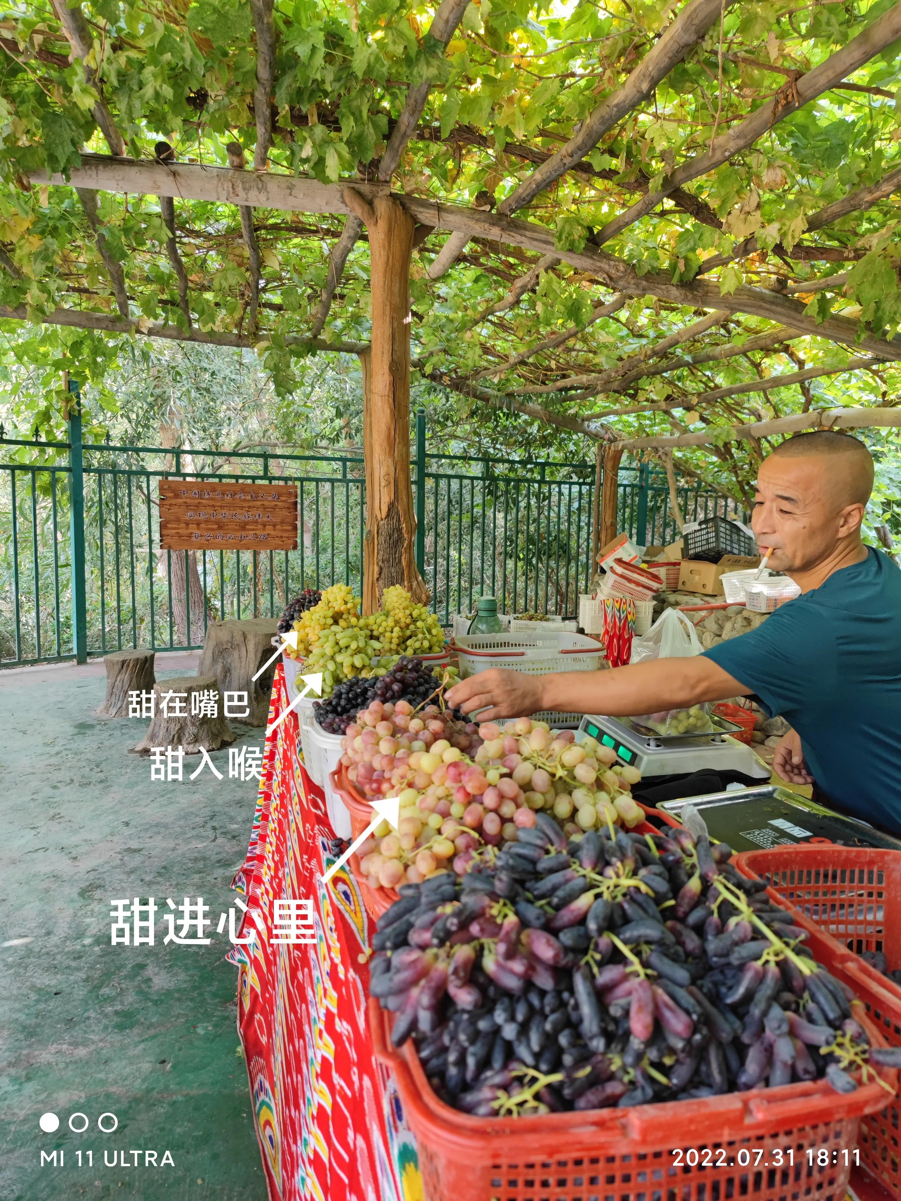 吐鲁番葡萄沟(吐鲁番葡萄沟，去一次就够了)