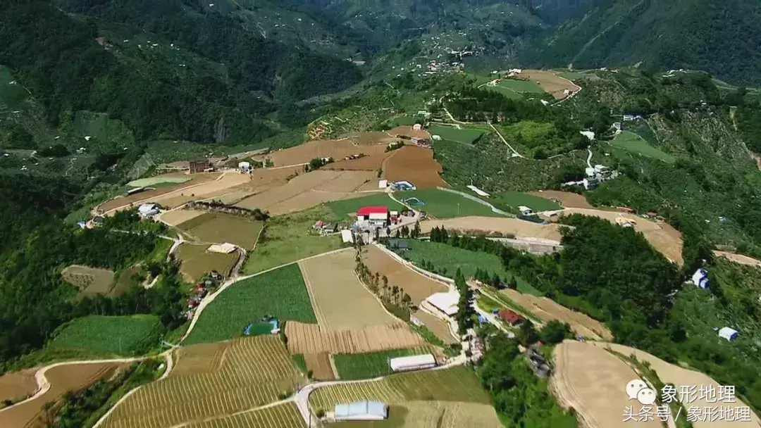 台湾高山茶(台湾的高山茶)