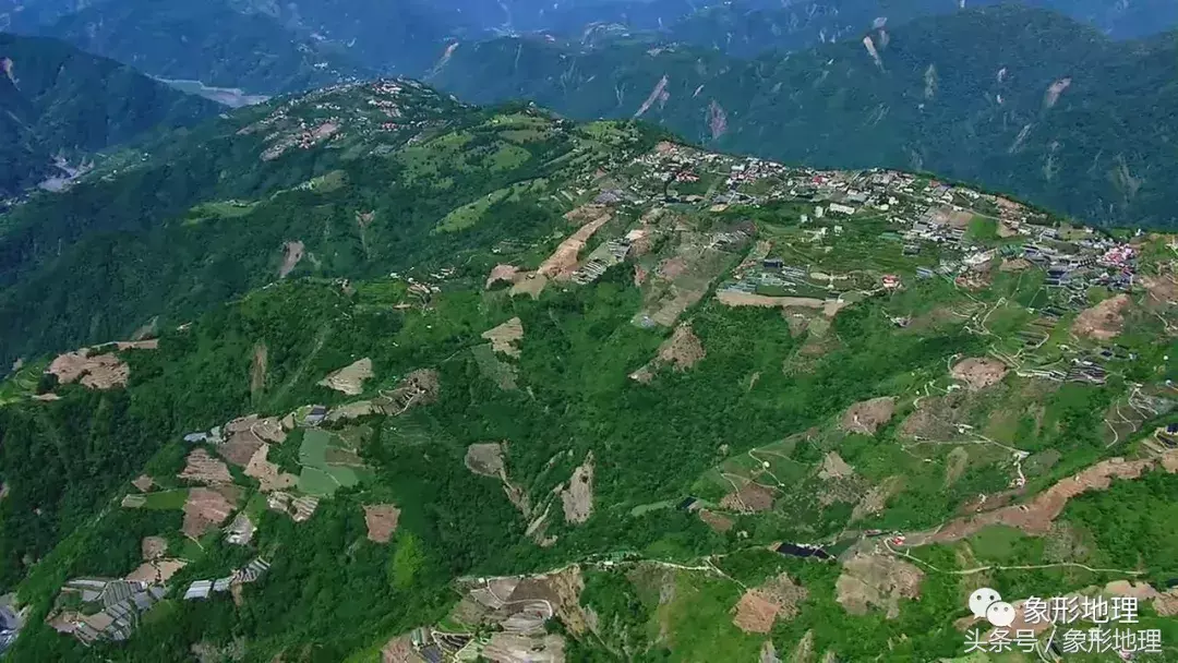 台湾高山茶(台湾的高山茶)