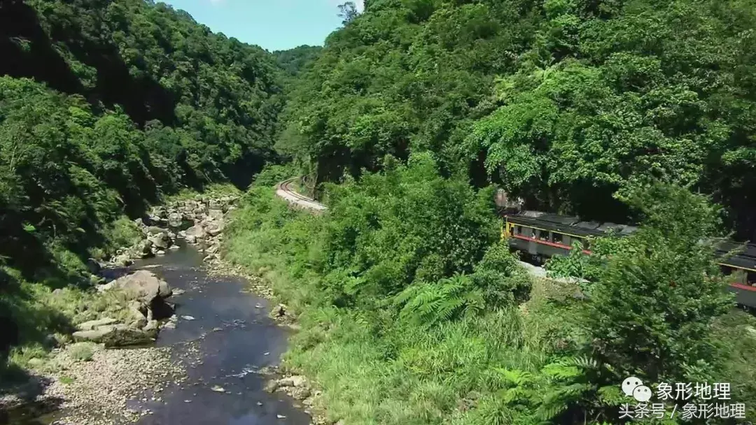 台湾高山茶(台湾的高山茶)