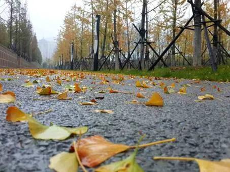 细细的雨(故乡的风，故乡的雨)