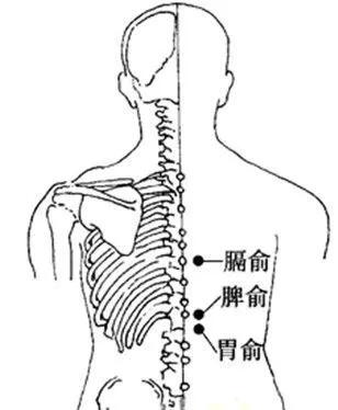 血瘀证选血会膈俞，六腑病选腑会中脘，这样选择是什么意思？