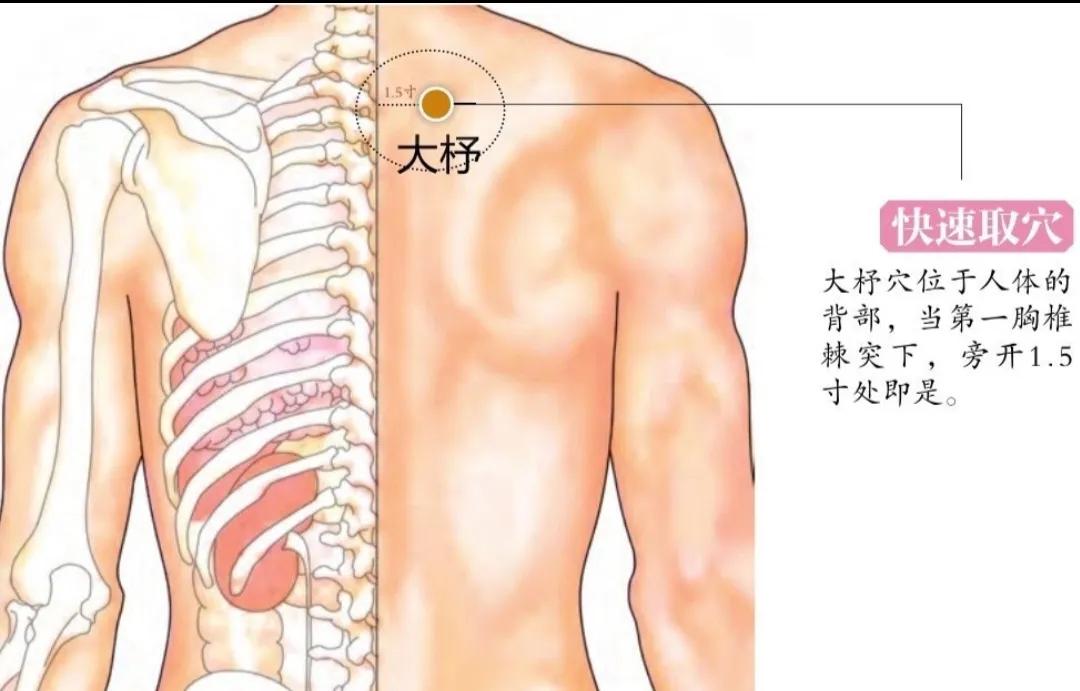 血瘀证选血会膈俞，六腑病选腑会中脘，这样选择是什么意思？