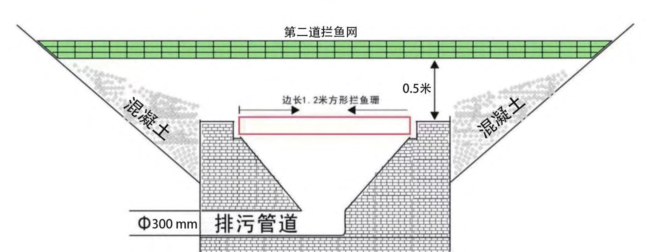 池塘养鱼(池塘养鱼废水底排污生态治理模式探讨)