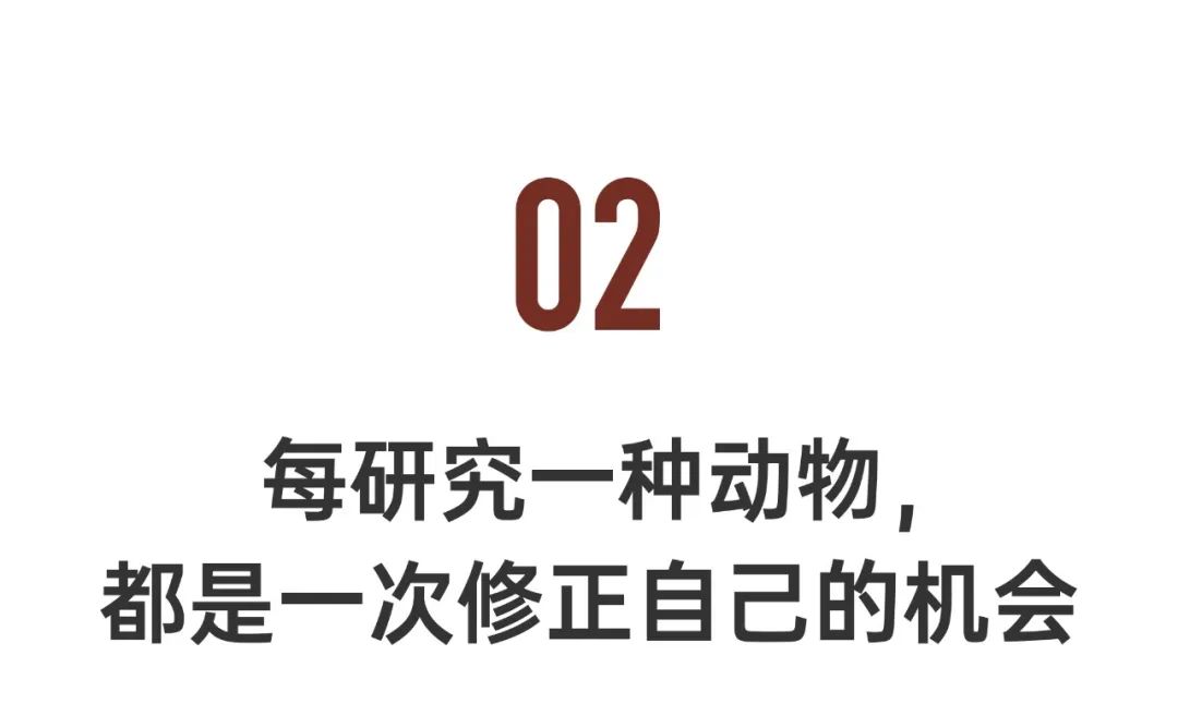 动物的性行为(女博士研究100种动物性行为：反观人类该如何爱、如何活？)