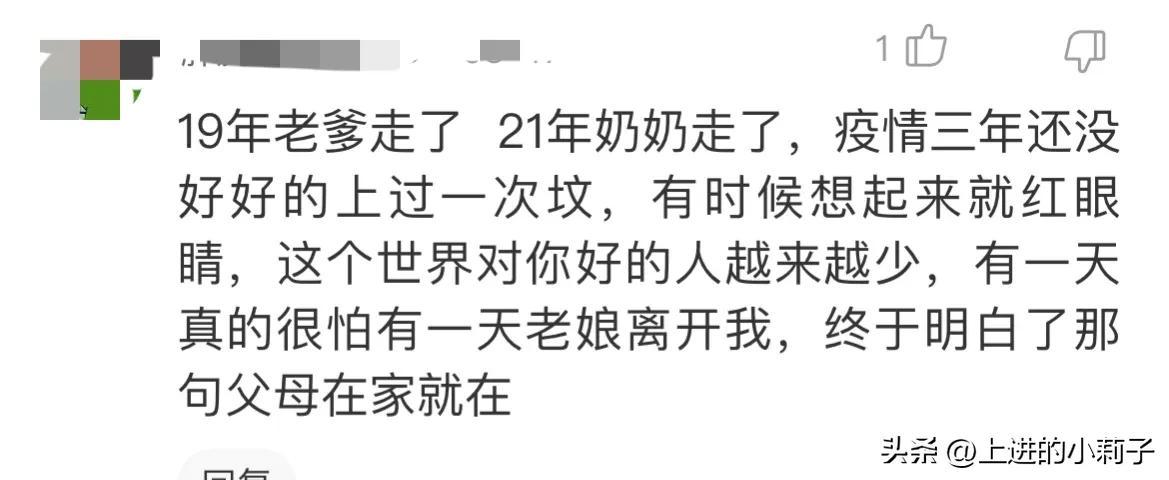 诺基亚1208(让人破防的日月潭，差十万，妈传菜，现在又多了一个诺基亚1208)