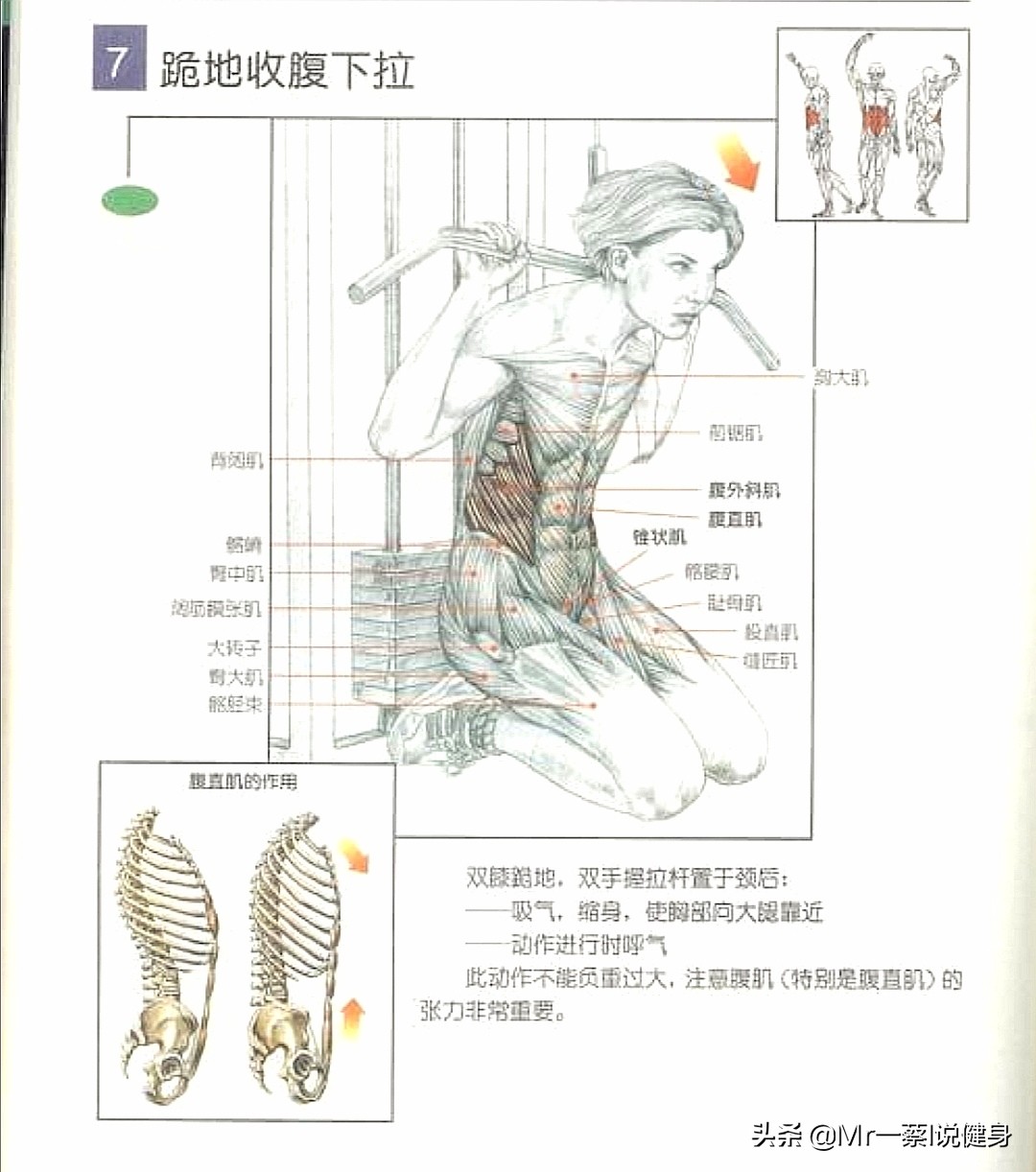 八块腹肌要练多久(正常人练出腹肌需要多长时间？)