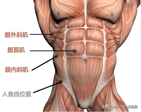 八块腹肌要练多久(正常人练出腹肌需要多长时间？)