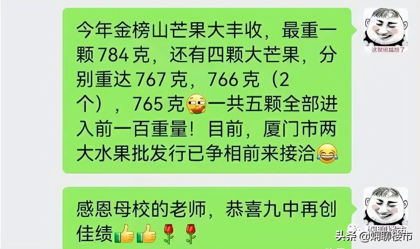 厦门九中(状元+榜眼？2022年厦门中考，第五片区赢麻了)