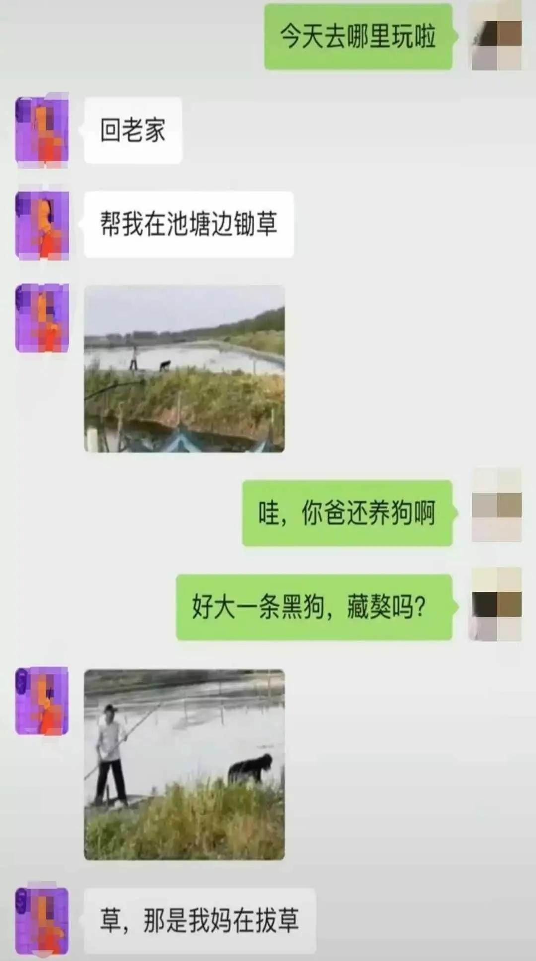 你看过哪些笑掉大牙的朋友圈？