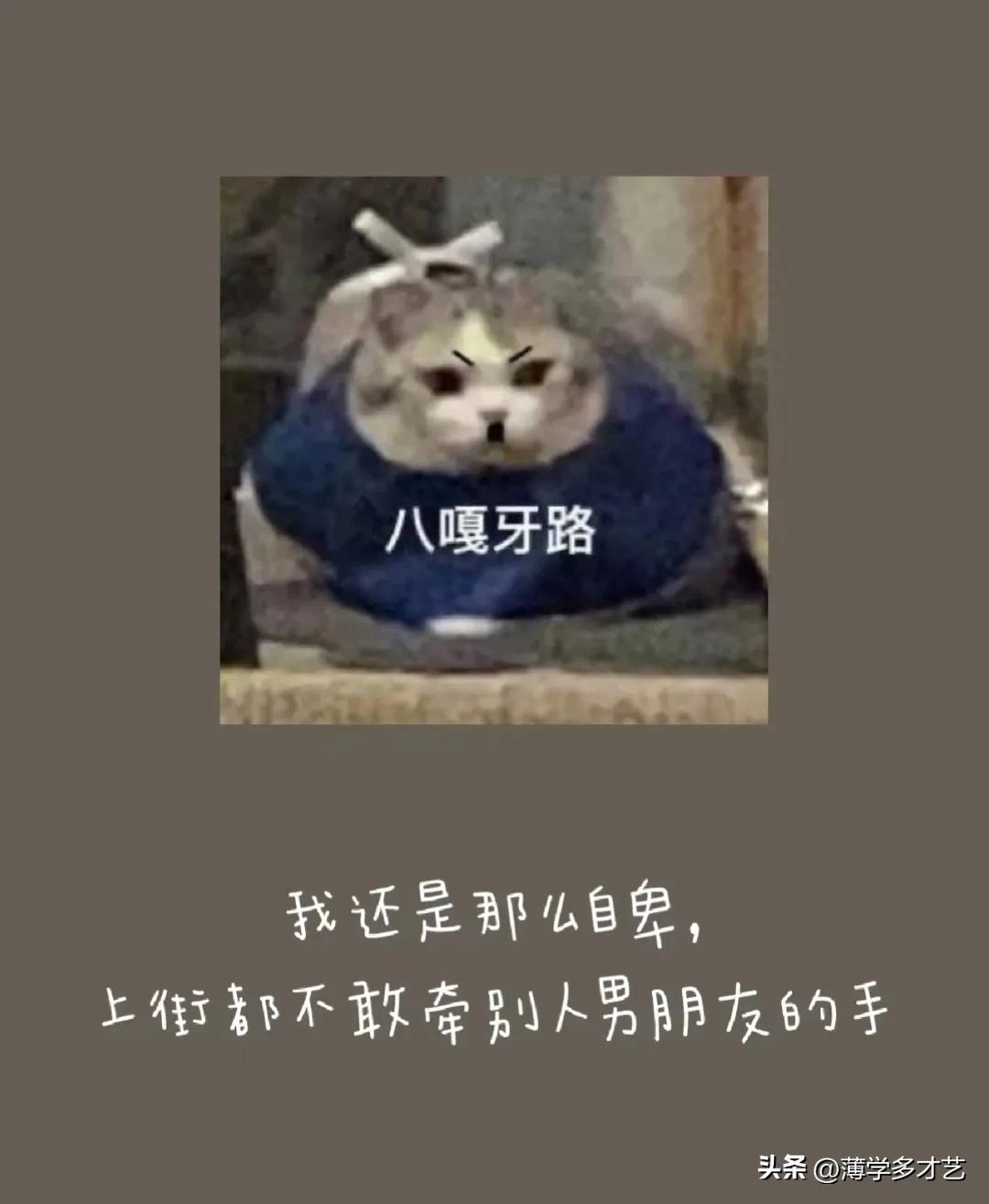 有什么搞笑的梗？