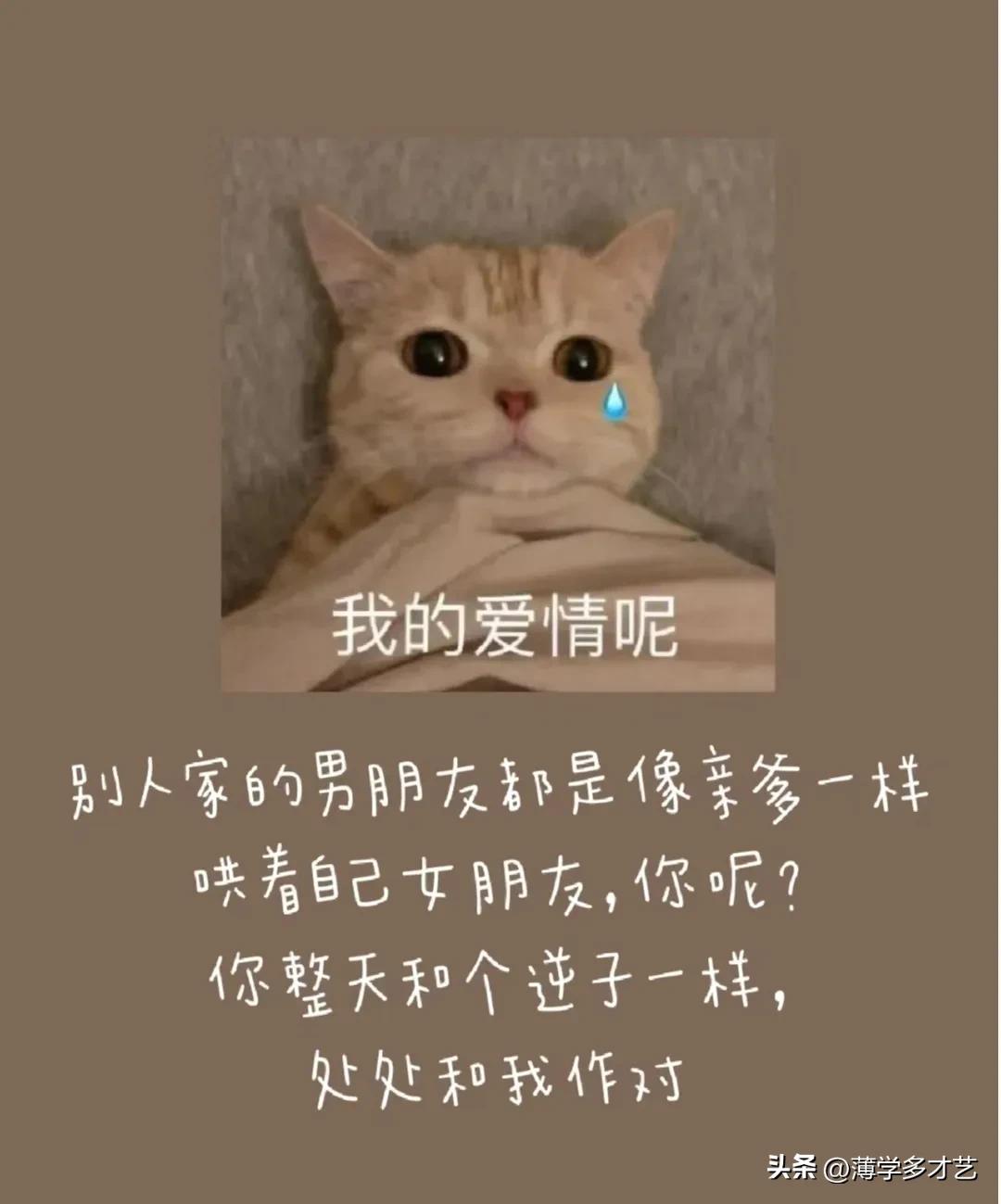 有什么搞笑的梗？