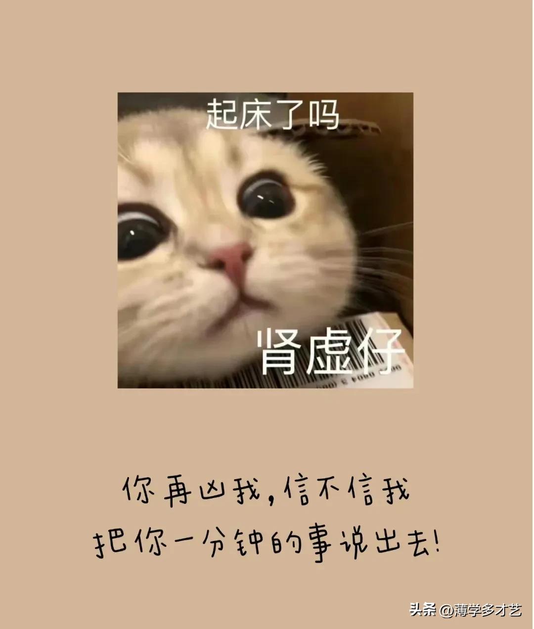 有什么搞笑的梗？