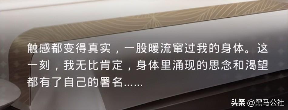 十八禁游戏(擦边、性暗示，这18禁游戏，没有禁15岁少女)