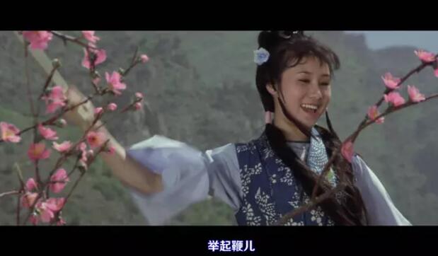 少林武王主题曲(电影《少林寺》六大主演现状？于承惠已不在，丁岚入新加坡国籍！)