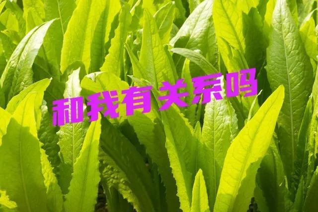 最新网络用语(最新网络用语 绝绝子 内卷 躺平 佛系 双击666 等等都是什么意思？)