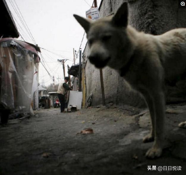 真实的韩国是什么样子的？