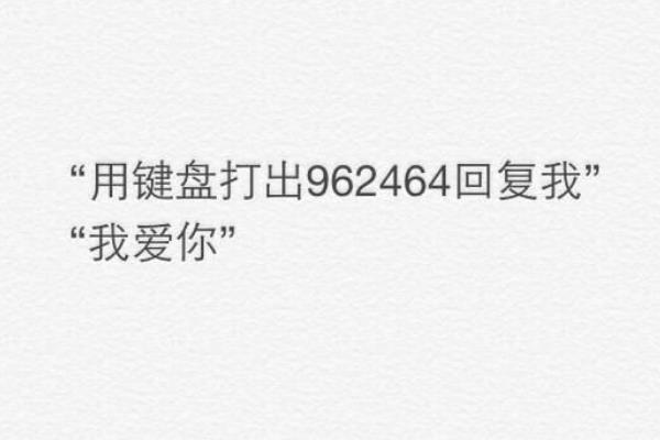 962464是代表什么意思?打开九宫格键盘输入后有惊喜