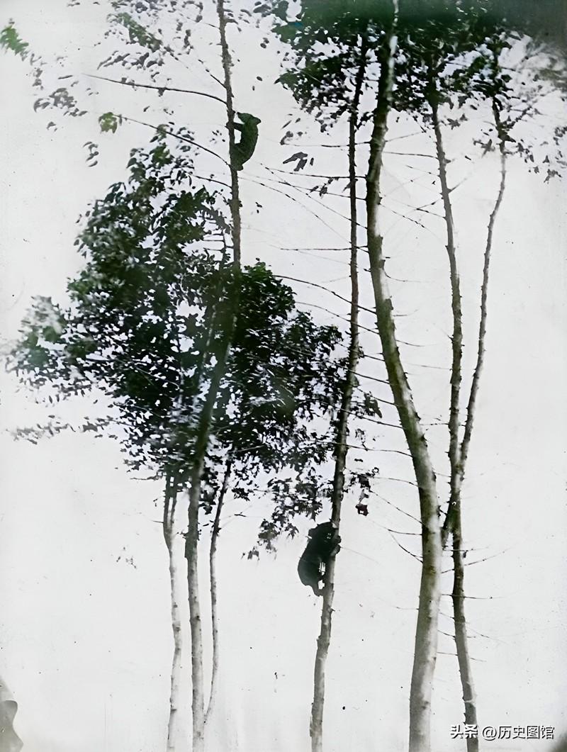 100年前的云南(老照片：120年前的云南，山川河流美如画，亚洲象与人和谐相处)