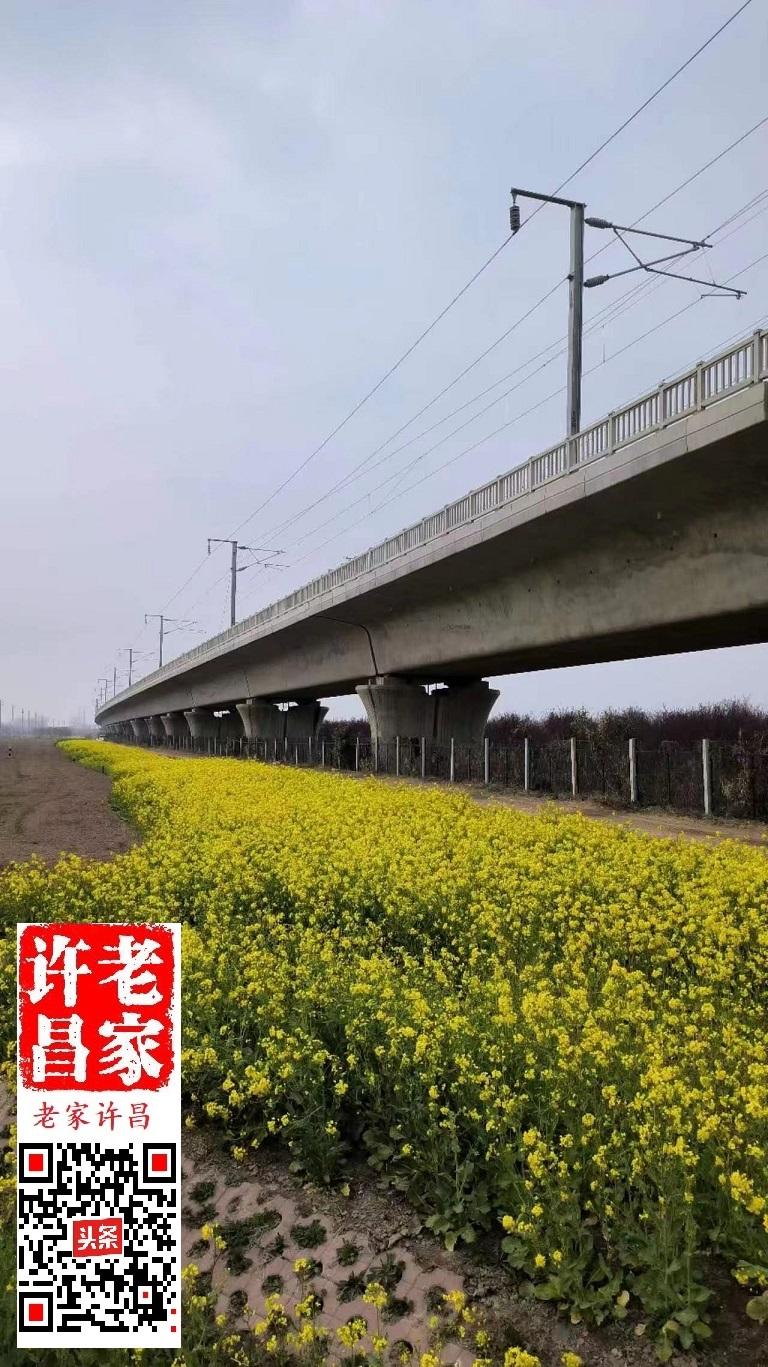 许昌七女的来历(许昌七女村得名于七女冢，冢里葬着哪七女？)