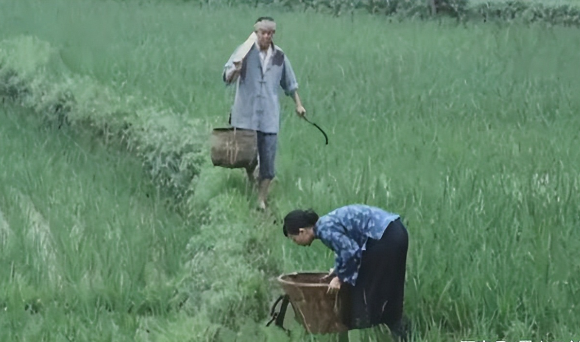 郑蕴侠晚年(1957年，特务郑蕴侠因说了一成语后暴露身份，重庆公安逮捕了他)