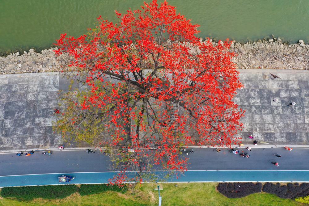 跟随春天的脚步去赏花(跟随春的脚步，去有花的地方)