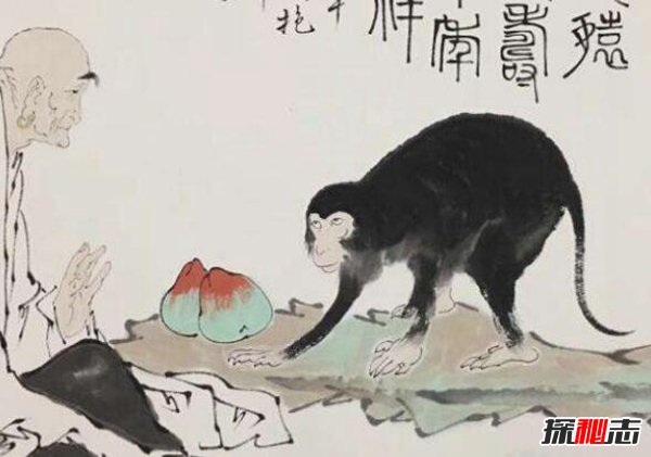 七大神猿分别是什么？七大神猿分别有哪些本领