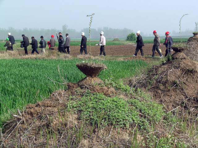 历史上中国死了那么多人都土葬，为什么没感觉有那么多坟墓？