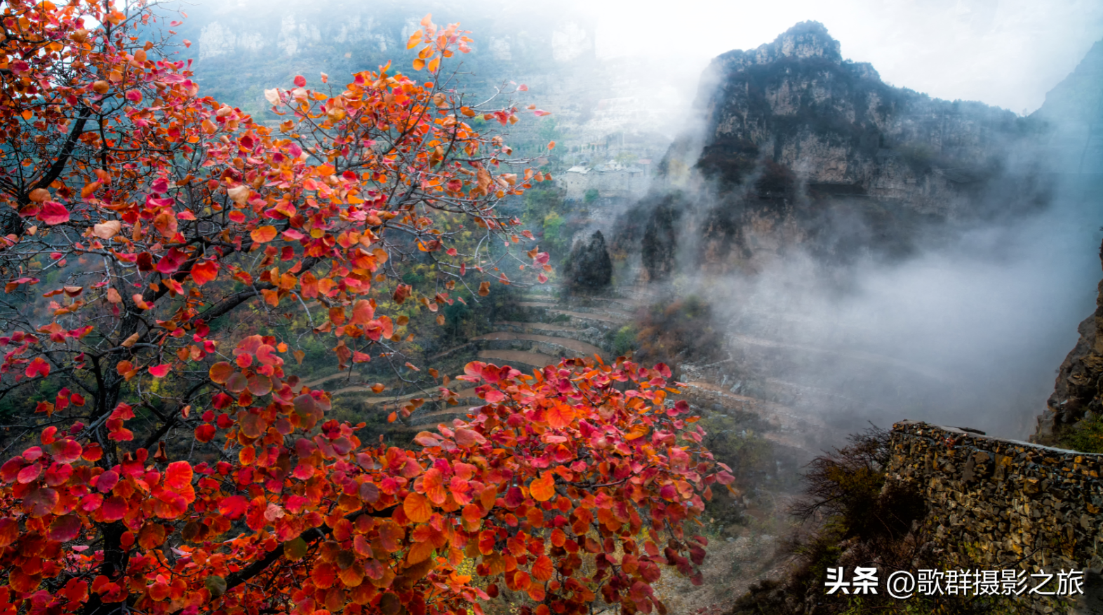 金秋红叶(林州太行大峡谷金秋红叶三天摄影采风路线安排)