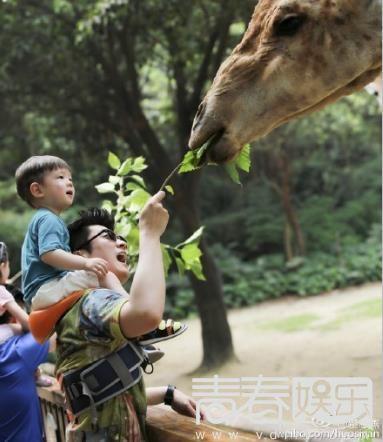 许晴骂郑爽(许晴骂郑爽圈内人曝其真相不简单 网友：赶紧学学霍思燕)