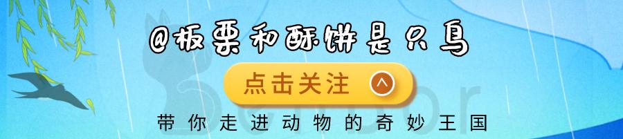 霍氏不死虫(霍氏不死虫真实存在过吗？远古时期的巨虫，到底是什么样的生物)