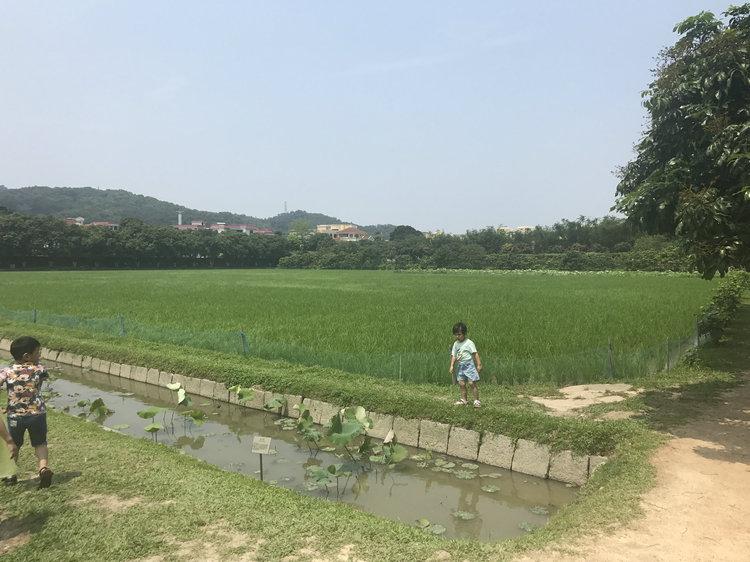 中山孙中山故居(广东省中山市 孙中山故居纪念馆游览)