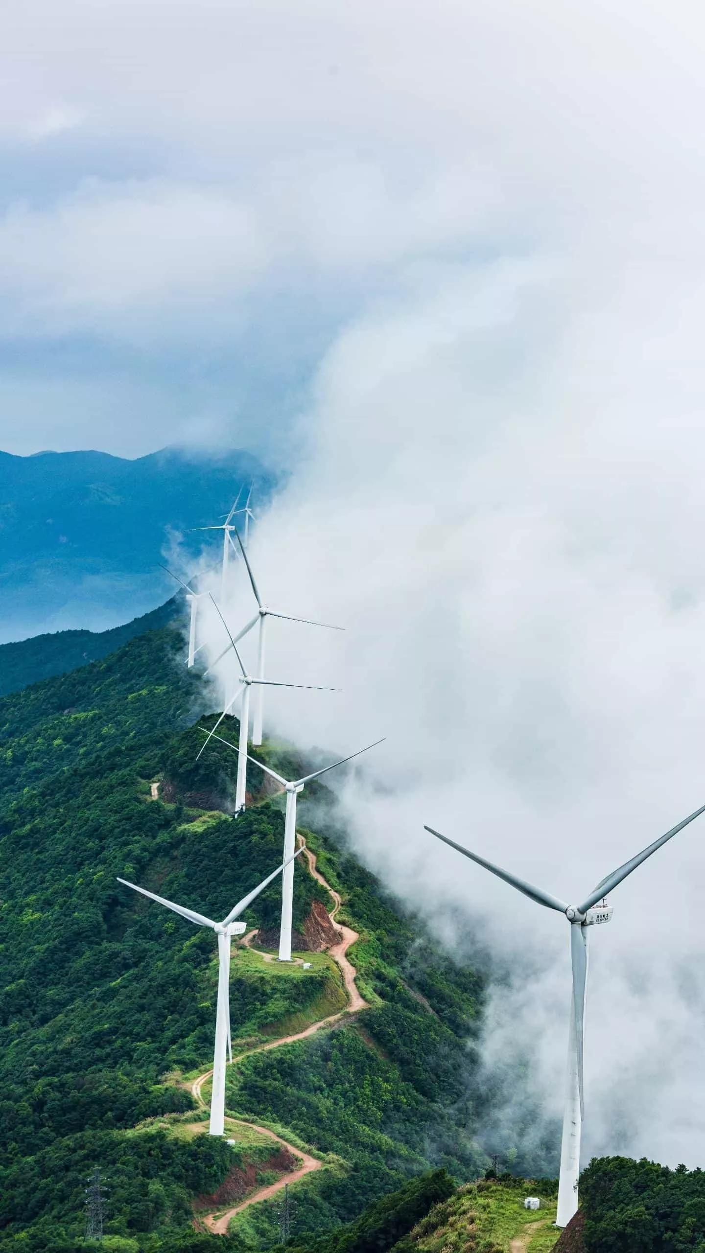 有哪些非常值得收藏的神仙句子图片(有哪些非常值得收藏的神仙句子？)