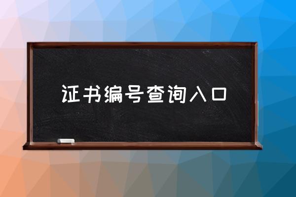 证书编号查询入口 怎么查询证书编号？-第1张图片-索考网