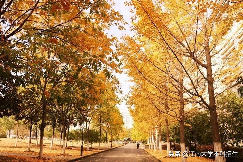 全国最美校园之一！江南大学今天63岁了！走出众多行业泰斗，频获世界关注！