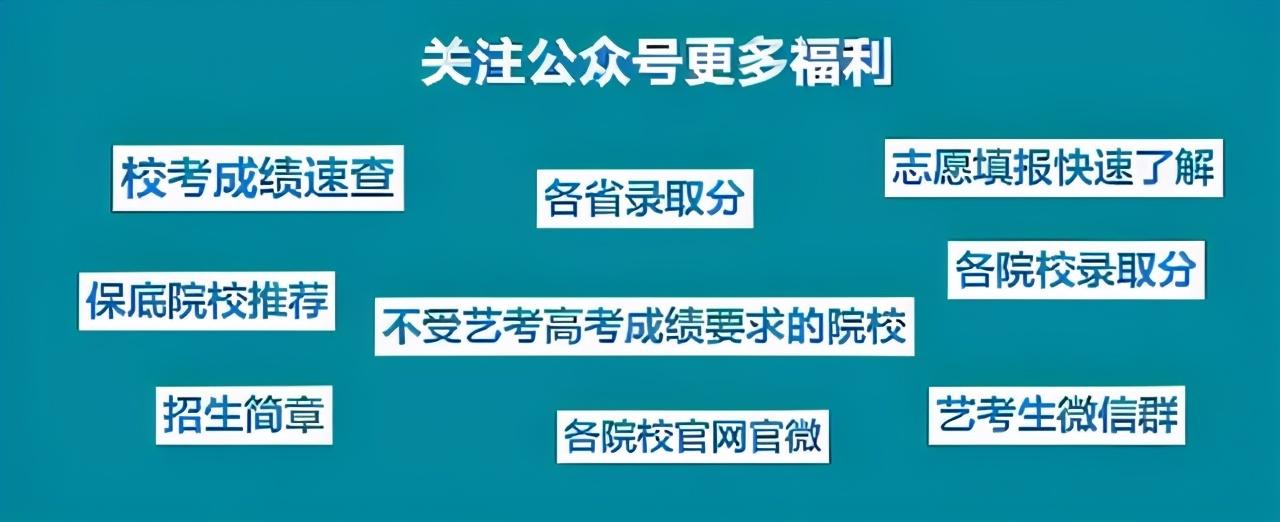 2021艺术生本科录取分数线（31省市2021年艺术类录取规则及最低录取控制线）