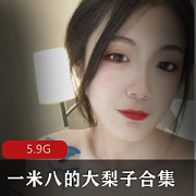 一米八大梨子精选美女视频合集5.9G，多款角色扮演尽显身材美腿